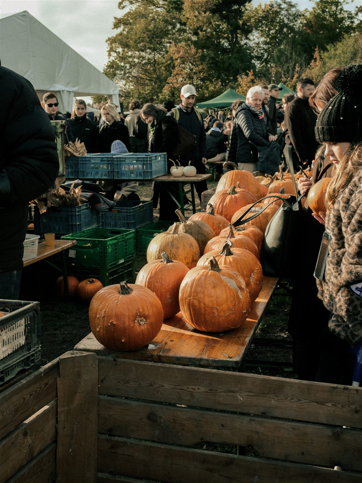 Kürbismarkt beim Kürbisfest Am Himmel 2026
